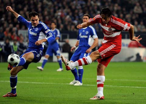 仅填补了基 仅填补了基